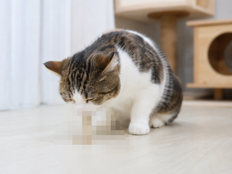 20260604083907_87c4e1.png